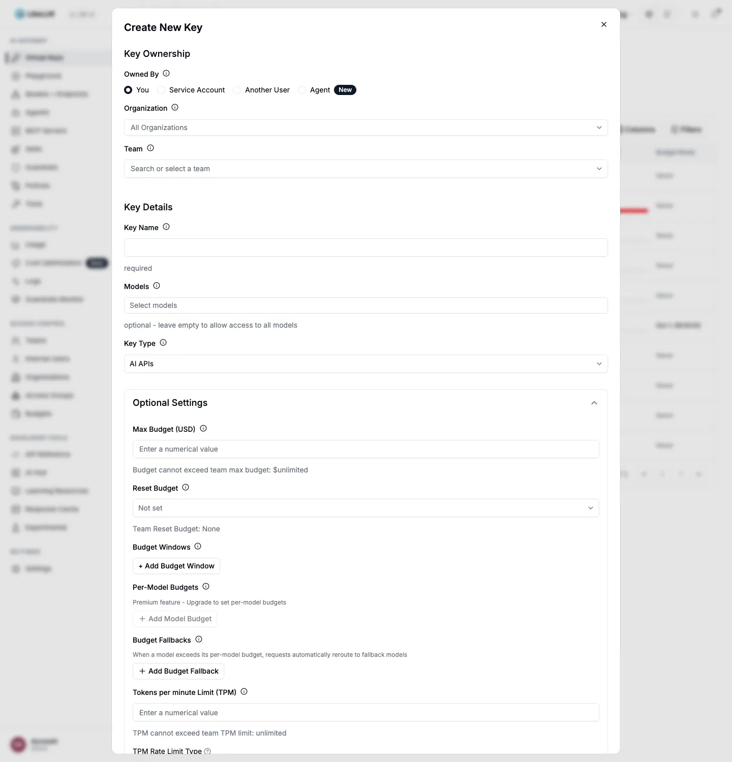 Create New Key modal. Owner, team, key name and allowed models are chosen at the top, and Optional Settings holds Max Budget, Reset Budget and a TPM limit